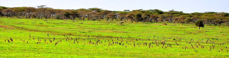 Melanie Heinrich Travel Images Africa